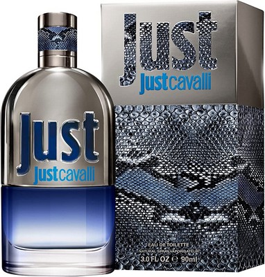 6 Best Roberto Cavalli Colognes For Men